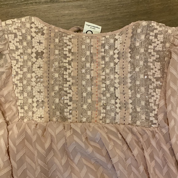 NWOT Anthropologie One September Dusty Pink Lace Embroidered Swing Dress Small s - Picture 4 of 5